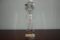 第五屆（2008）中國(guó)上市公