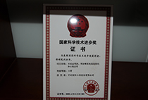 國(guó)家科學(xué)技術(shù)進(jìn)步獎(jiǎng)
