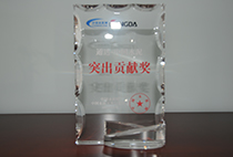 通達(dá)中國(guó)水泥突出貢獻(xiàn)獎(jiǎng)